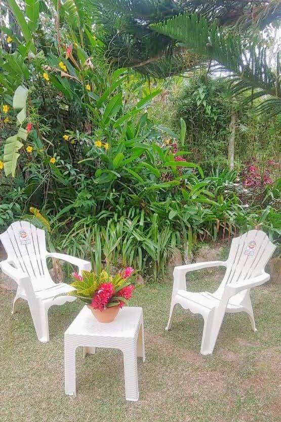 Fresh Weather In Colony, Sc By Drvacationsrental Cambita Garabitos Kültér fotó
